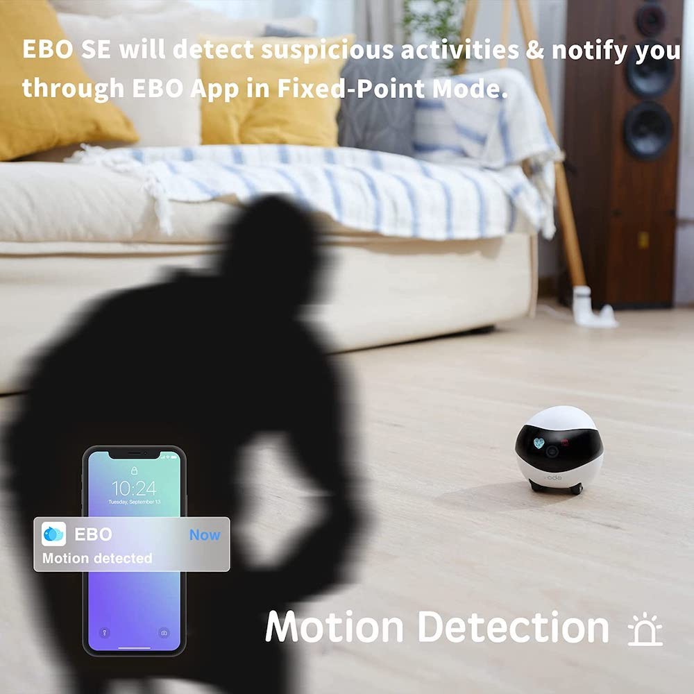 A mini robot that will take care of your safety - motion detection