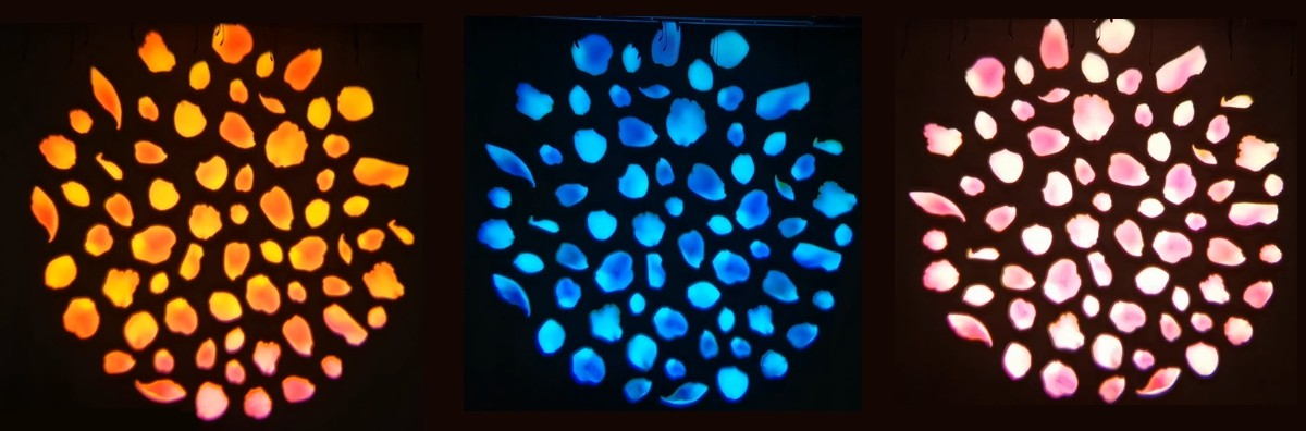 gobo projector color change