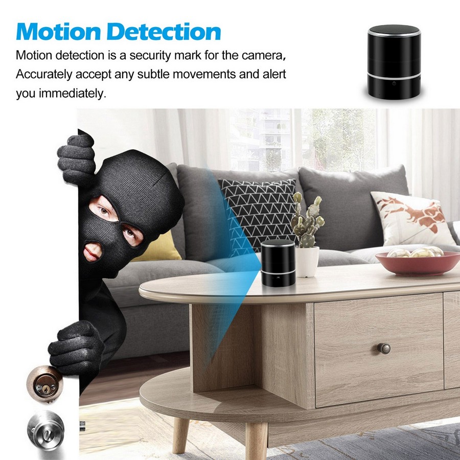 hidden speaker camera intelligent motion detection