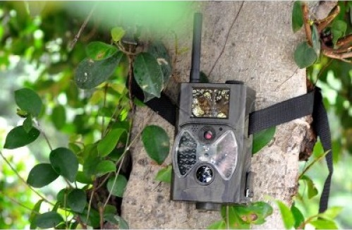 Hunting camera