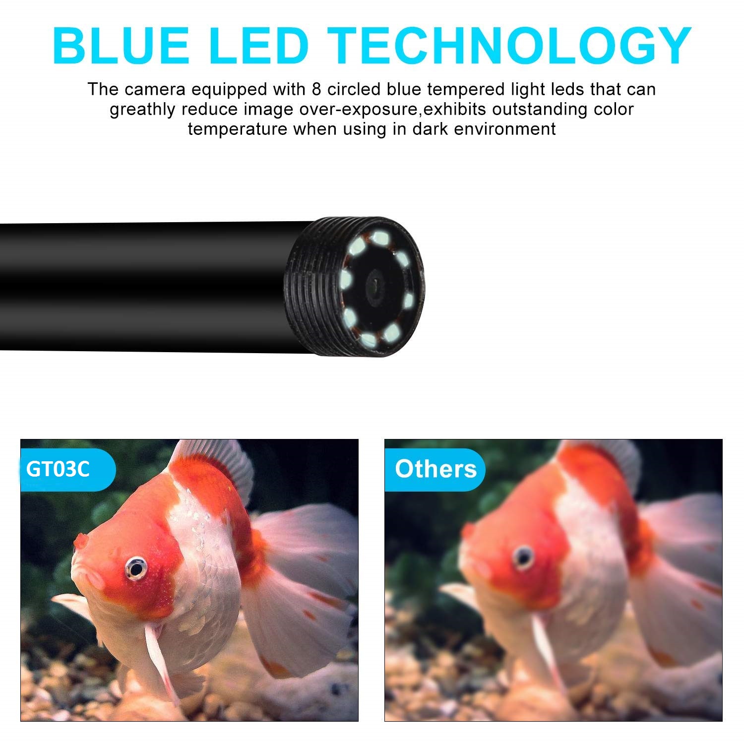 endoscope with BLUE LED lighting