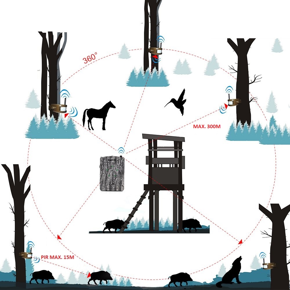 hunting alarm system Bestguarder in the forest