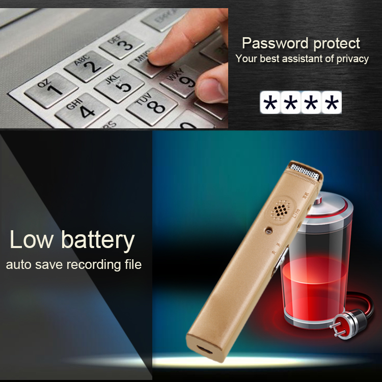 dictaphone with password protection
