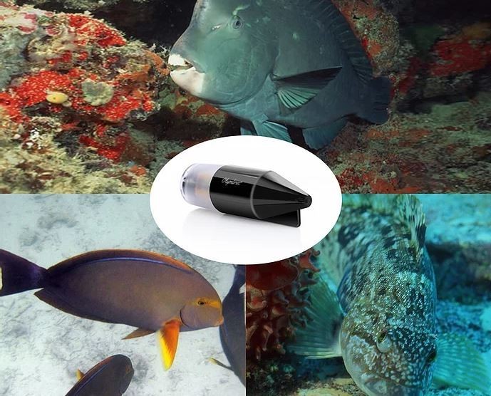 underwater camera for fishermen