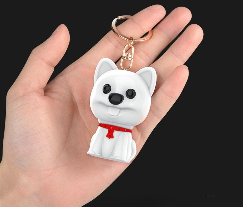voice recorder in a dog pendant
