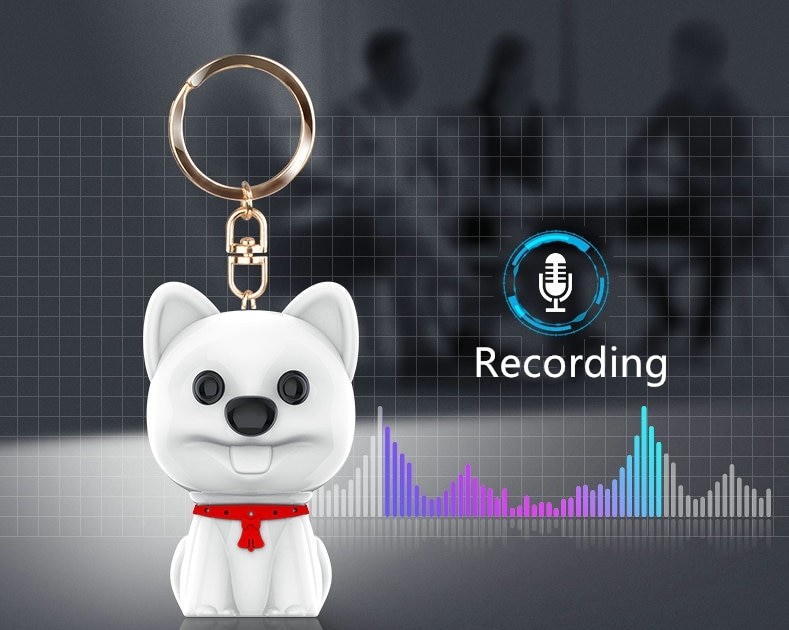 voice recorder in a keychain dog